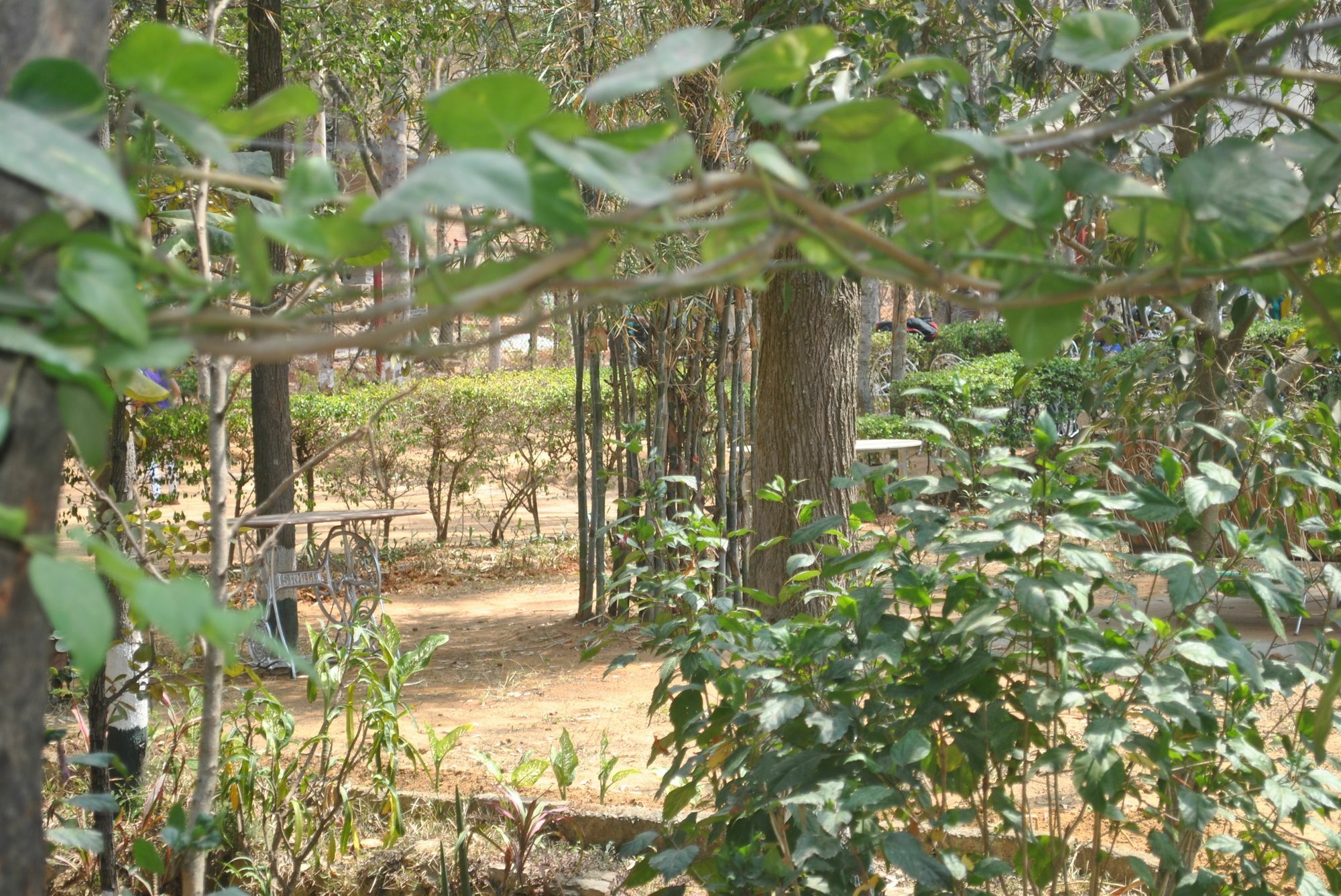 Eagle Ridge Resort Bangalore Eksteriør billede